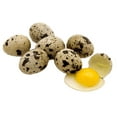 thumbnail image 2 of 50 Jumbo Quail Egg Cartons Only for Coturnix Bobwhite Quail One Dozen, 2 of 3