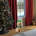 thumbnail image 4 of Chapeau de Fête pour Chats et Chiens de Petite et Moyenne Taille, 4 of 5
