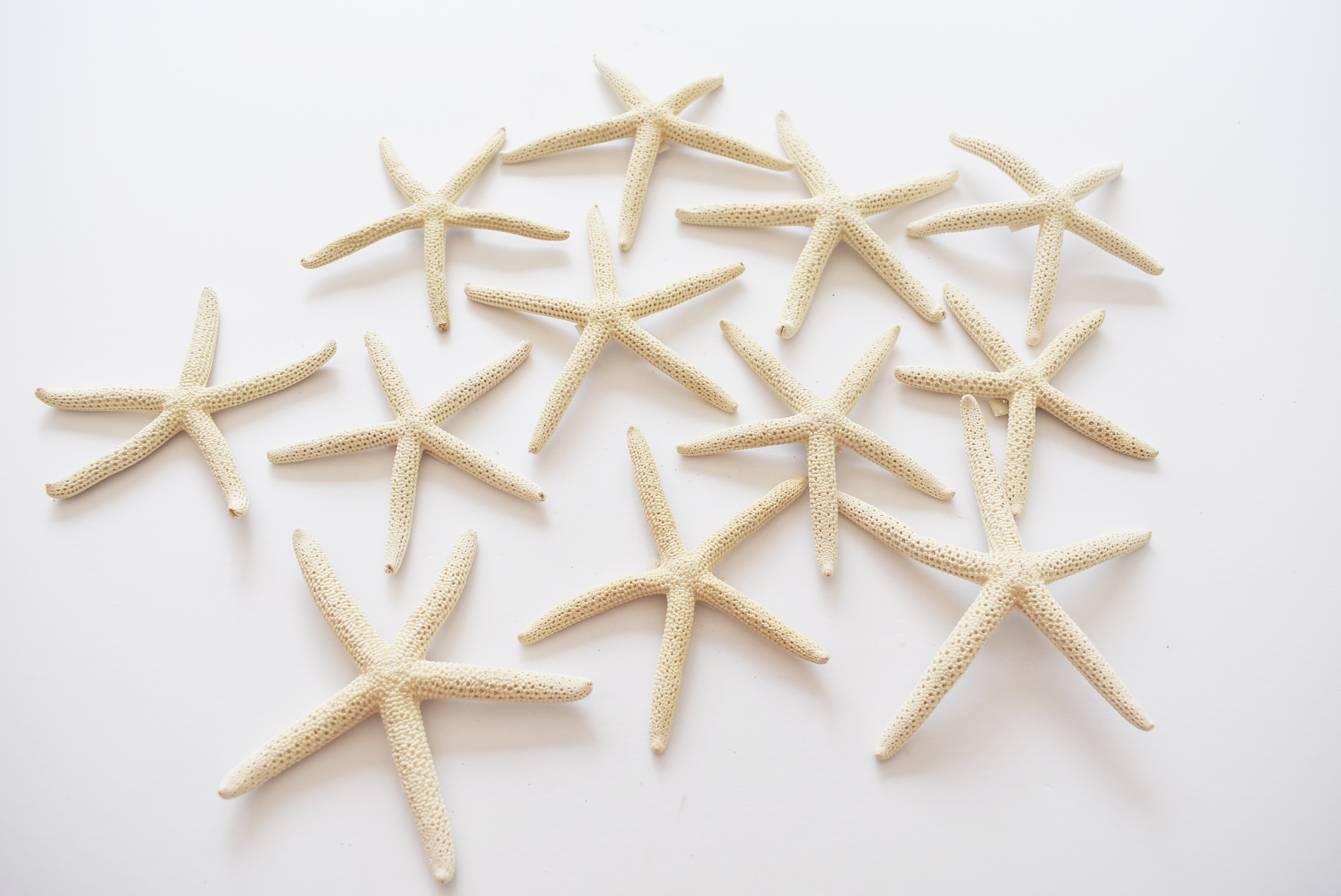 Starfish 3-4/" Beach Wedding Nautical Decor Craft Hobby Finger 100 White Pencil