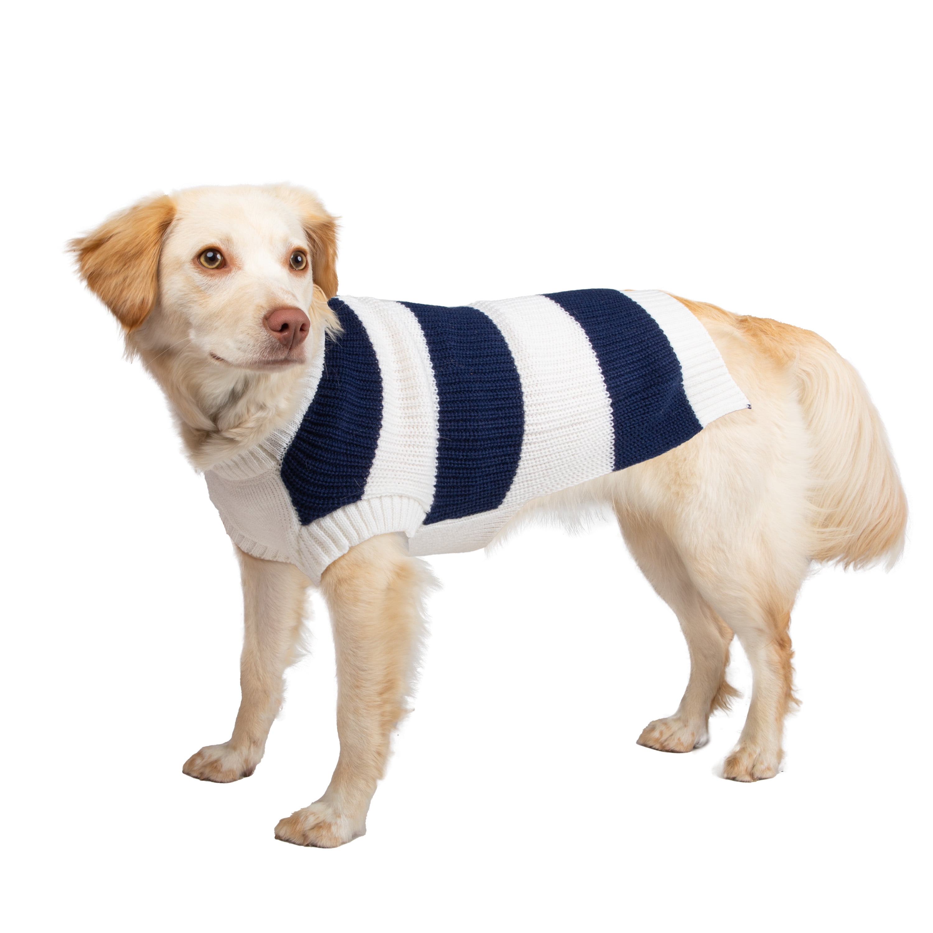 Gap Pet, Dog Clothes, Blue Striped Henley Pet Sweater