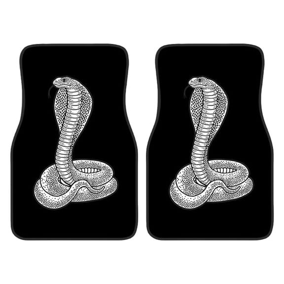 Universal Car Front Floor Mats Set of 2, Water-Resistant and Non-Slip Polyester Fiber Carpet Protectors for Driver and Passenger Side in Black