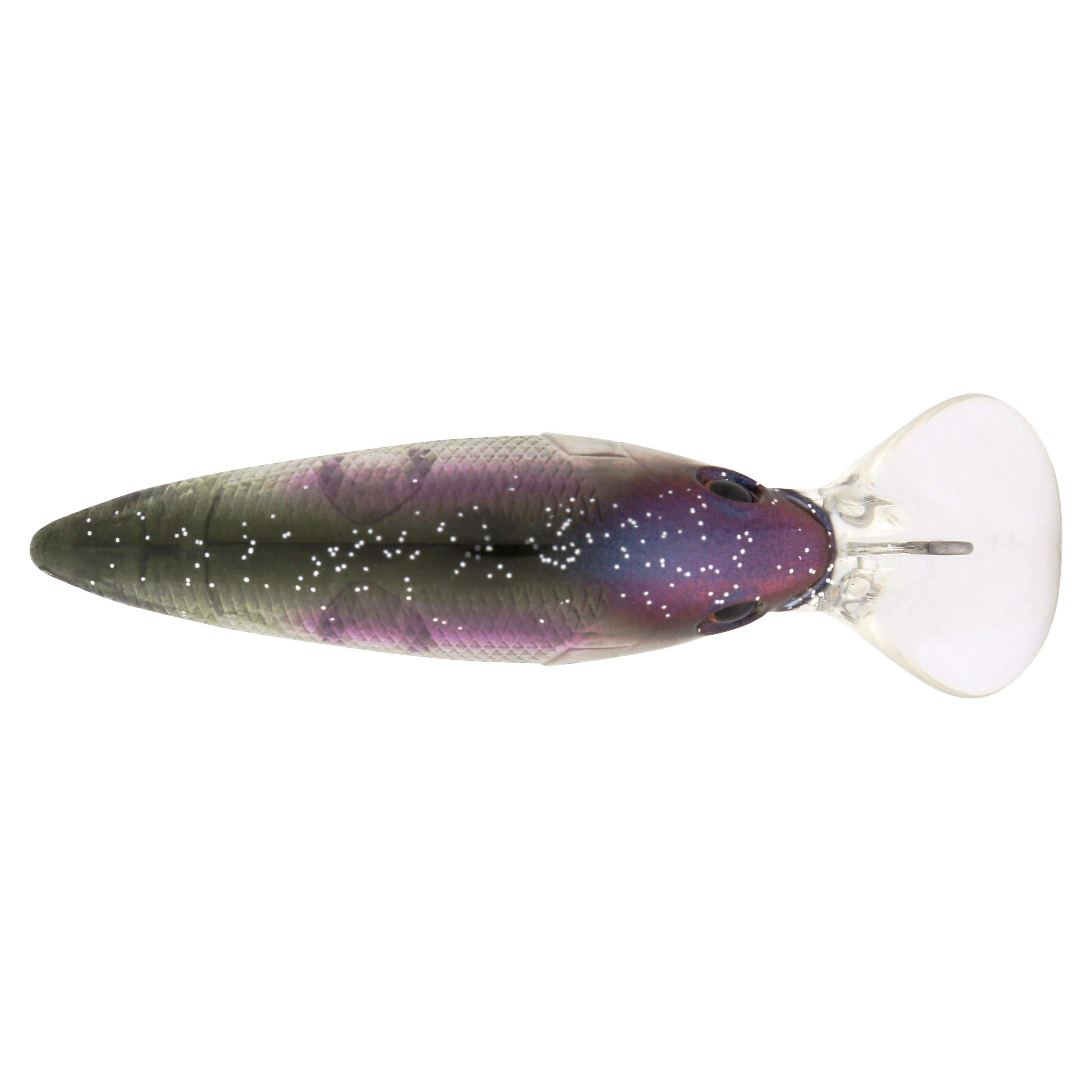 Berkley Money Badger, 4, Northern Lights