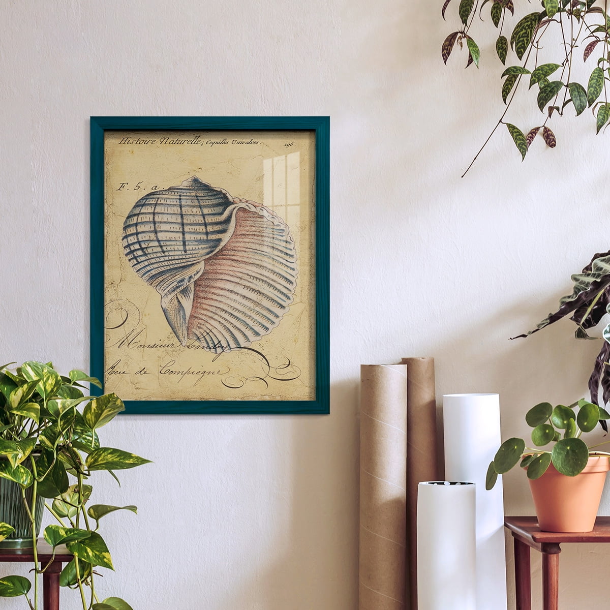 Seashell Ephemera V - Framed Print w/glass - Ocean Blue