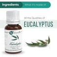 thumbnail image 3 of Naturalis Eucalyptus Oil – Pure Eucalyptus Essential Oil for Aromatherapy, Skin 15ml, 3 of 4