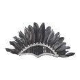thumbnail image 1 of Diadema de plumas, tocado de Acción de Gracias, disfraz para niños, banda para el cabello, decoración india negro, 1 of 9