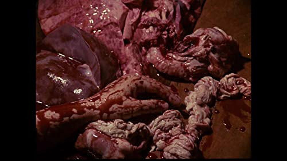 Mad Doctor of Blood Island (DVD)
