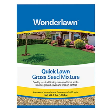 BARENBRUG USA Quick Lawn Grass Seed, 3-Lbs. (Best Way To Spread Lawn Seed)