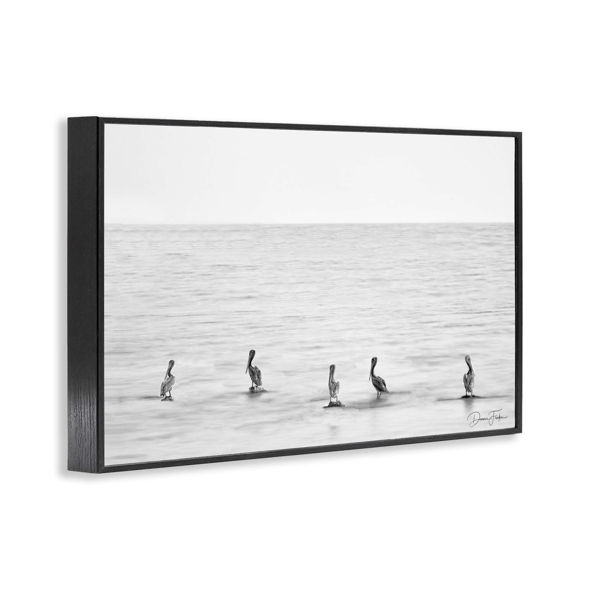 Stupell Industries Pelicans on Shore Landscape Photography Black Framed Art Print Wall Art, 24 x 16