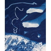 Cyanotype Set