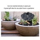 thumbnail image 5 of Riego Automático De Plantas, Nube De Lluvia De Riego De Plantas Compacta Decorativa Eficiente Para Exteriores, 5 of 7