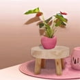 thumbnail image 3 of Flower Pot Stool, Round Wooden Stool, Indoor Plant Holder, Solid Flower Pot Holder, 3 of 4