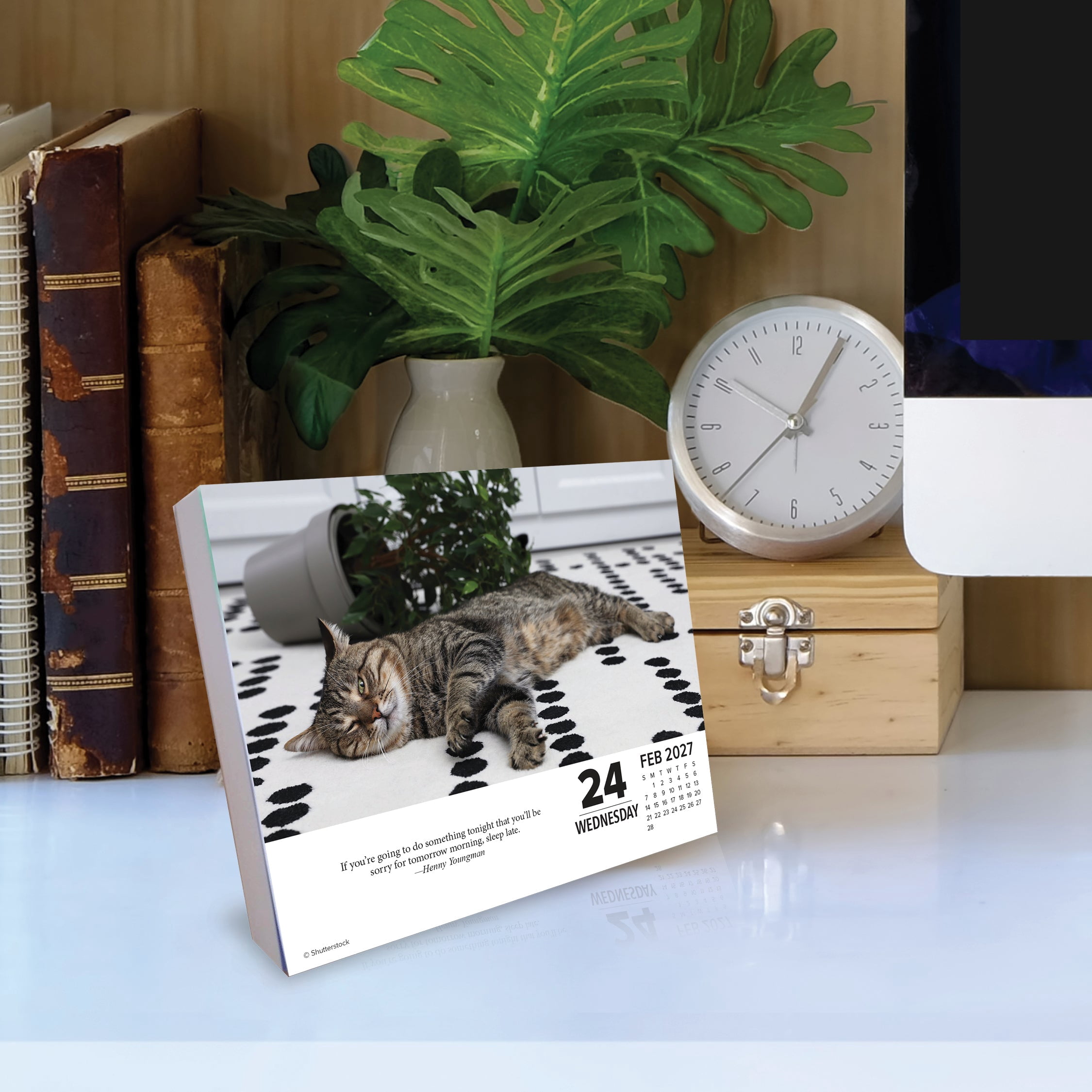 Willow Creek Press, Bad Kitties 2027 Box Calendar