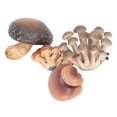 thumbnail image 4 of Juego de Modelos de Hongos en Miniatura de Alta Simulación para Educación Modelos Cognitivos Educación Temprana y Decoración con Plástico Seleccionado ANGGREK Otros, 4 of 8
