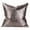 Leopard, variant on A & B Home Leopard Print Decorative Pillow