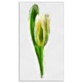 thumbnail image 2 of Tulipe Blanche avec Feuilles Vertes - Grande Œuvre d'Art Florale sur Toile, 2 of 3