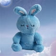 thumbnail image 4 of HUASHENG Arrily Calming Arrily Anxiété Arrily Restaurant Anxiété Arrily Sommeil Double Volume Réglable Musique pour Apaiser, 4 of 5