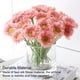 thumbnail image 4 of Ramo de flores artificiales Billuyoard 10 piezas Gerbera 20 cm Rosa claro Rojo, 4 of 6
