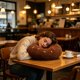 thumbnail image 5 of Cojín redondo con forma de donut de 40 cm (15,75 pulgadas) | Cojín decorativo suave y acogedor para sofá, cama o sillón | Forma original y divertida para la decoración del hogar, 5 of 6