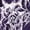 Purple, variant on Women Men Y2K Zip Up Hoodie Gothic Graphic Grunge Alt Baggy Hooded Sweatshirt Outwear Punk Streetwear