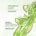 thumbnail image 4 of Esencia de control de aceite de hoja de té | Suero hidratante para aliviar el enrojecimiento para pieles sensibles | Contracción de poros finos | Hidratación con ácido hialurónico | Botella de 30 ml, 4 of 7