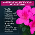 thumbnail image 4 of ⭐ 𝐁𝐄𝐒𝐓𝐒𝐄𝐋𝐋𝐄𝐑 Slow Release Hydrangea Fertilizer with Iron & Sulfur – Indoor & Outdoor Soil Acidifier for Miracle Growth [8 OZ], 4 of 6
