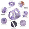 thumbnail image 4 of Didog Breathable Mesh Dog Harness Reflective Soft No Choke Puppy Vest Adjustable S-M-L, 4 of 12