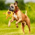 thumbnail image 4 of Dog Soccer Ball Toys Multi-functional Outdoor Indoor Interactive Dog Ball Toys For Small Medium Large Dogs, 4 of 9