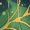Green, variant on Chririnla Spider Web Skeleton Womens Golf Shirts Quick Dry Moisture Wicking Golf Polo Shirts Long Sleeve for Women Halloween Tennis Tops with Pants, Skirt, Shorts, Jeans,2XL
