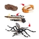 thumbnail image 5 of de de un , de la naturaleza de modelo de Utilería de , simulación de juguete Hugo juego de crecimiento de insectos para niños, 5 of 6