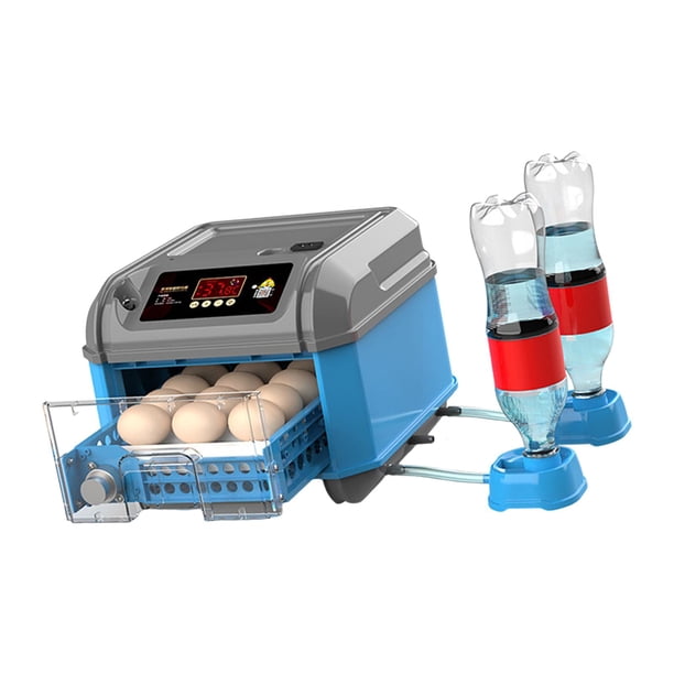 automática de huevos, de , chasis desmontable con control de temperatura de luz, huevos para incubar, de , 12 huevos Yuyangstore Incubadora automática de huevos