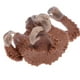 thumbnail image 4 of Modelo de Animal de Orangután Rojo de Juguete para Niños Perfecl Decoración para hogar, 4 of 7