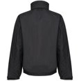 thumbnail image 1 of Regatta  - Chaqueta/Abrigo/Cazadora impermeable cortavientos Modelo Dover Hombre caballero (Lima/Gris), 1 of 3