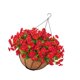 thumbnail image 3 of Plantas decorativas en cesta colgante, arreglo floral artificial para porche. Rojo, 3 of 9