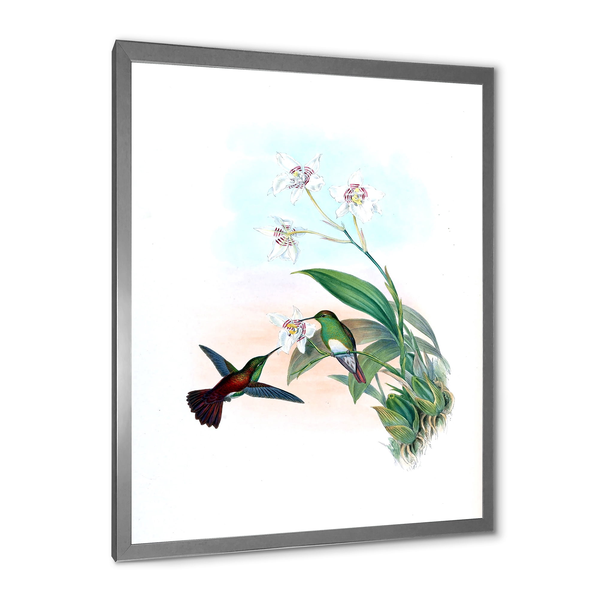 Designart 'Historic Hummingbird Flying To A Flower' Traditional Framed Art Print