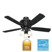 Hunter 54 inch Indoor Ceiling Fan with LED Lights and Remote Control - Standard Mount Black Ceiling Fan, 5 Blades, For Bedroom, Living Room, or Kitchen, Quiet - Promenade 59545, Gloss Black