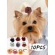 thumbnail image 1 of 10pcs Cute Fruit Hair Ties For Dogs And Cat,Cute Puppy Dog Mini Strawberry Watermelon Hair Ropes,Yorkie Dogs Hair Grooming Elastic Rubber Bands,Pet Ha, 1 of 4