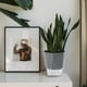 thumbnail image 3 of pstuiky Maceta transparente para el hogar automática con absorción de agua de resina blanca de plástico para almacenar agua., 3 of 7