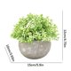 thumbnail image 2 of Plantas artificiales Plástico Falso Mini Hierba verde Flor Topiary Arbustos Wmkox8yii  HKAHFKAH16, 2 of 2