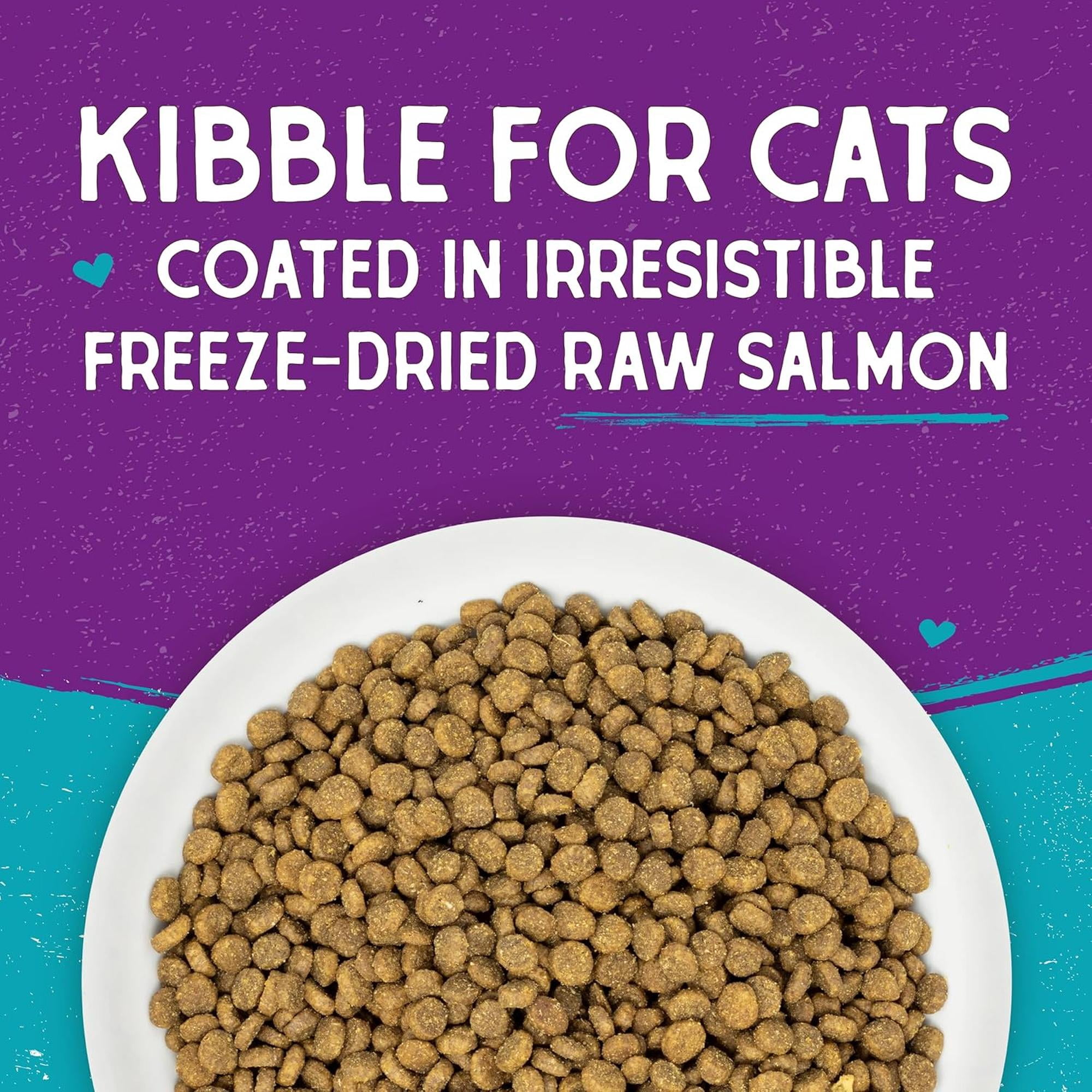 Stella & Chewy's Baked Kibble for Cats - Raw Coated Wild-Caught Salmon Recipe - 2.5 Pound Bag