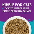 thumbnail image 5 of Stella & Chewy's Baked Kibble for Cats - Raw Coated Wild-Caught Salmon Recipe - 2.5 Pound Bag, 5 of 8