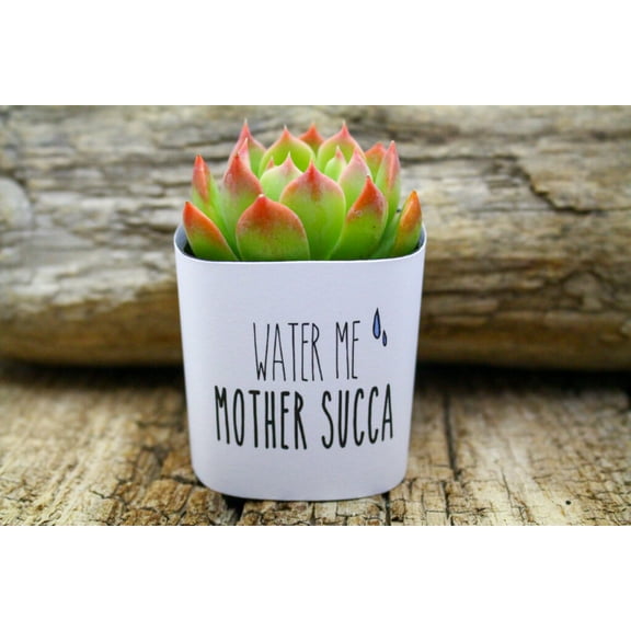 Plants Of Joy Water Me Mother Succa Print Succulent Wraps for Weddings, Baby Shower, and Party Favors. 25 Count Pack.