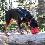 Kurgo Zippy Bowl for Dogs, Collapsible Travel Pet Container, Food Grade Silicone, 48 oz, Barn Red