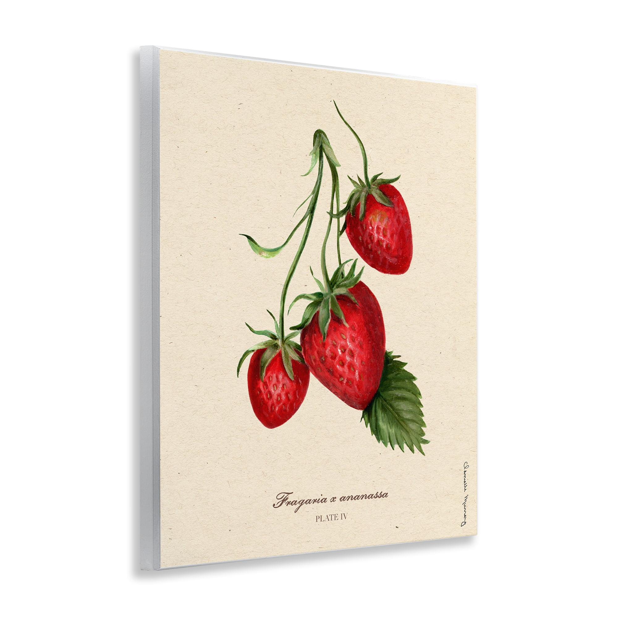 Stupell Industries Strawberry Fruit Portrait Wall Plaque Art, design by Danielle Murray