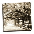 thumbnail image 2 of Gango Home Decor Savannah Sepia Sq I by Alan Hausenflock (Ready to Hang); One 24x24in Hand-Stretched Canvas, 2 of 4