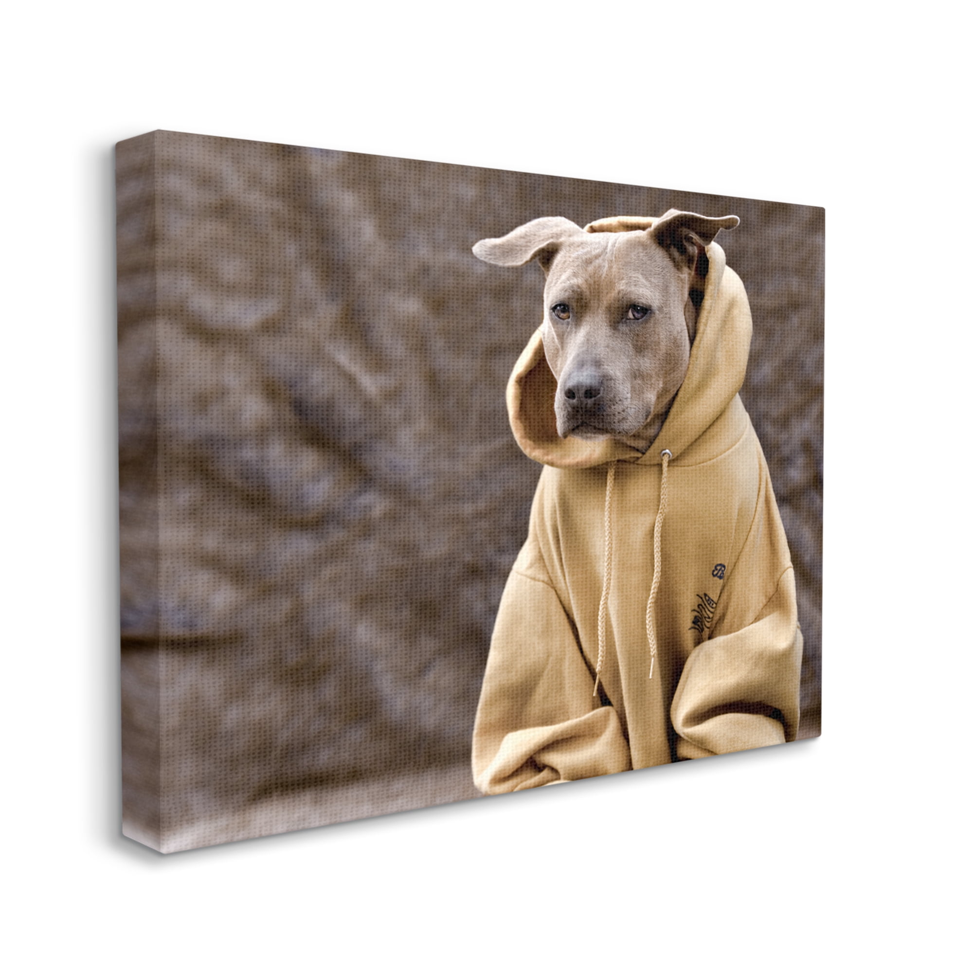 Stupell Industries Beautiful Dog Wearing Cozy Yellow Hoodie Photography Photograph Gallery Wrapped Canvas Print Wall Art, Design by Michael Brian