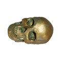 thumbnail image 1 of Bewildely Modelo de resina de cráneo humano tamaño real 1:1 esqueleto realista anatómico marrón 1 Decoración del hogar Latón Antiguo Cráneo Bronce, 1 of 1