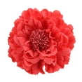 thumbnail image 1 of Trayknick Mode Fille Femme Simulation Fleur Épingle à Cheveux Bandeau Cadeau, 1 of 13
