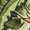 Beige, variant on Embroidered Fishing Sweatshirt with Largemouth Bass and Rod Design