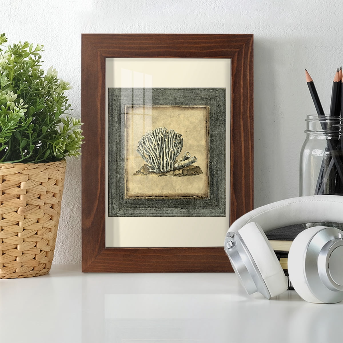 Mini Exotic Coral IX (U) - Framed Print w/glass - Chestnut