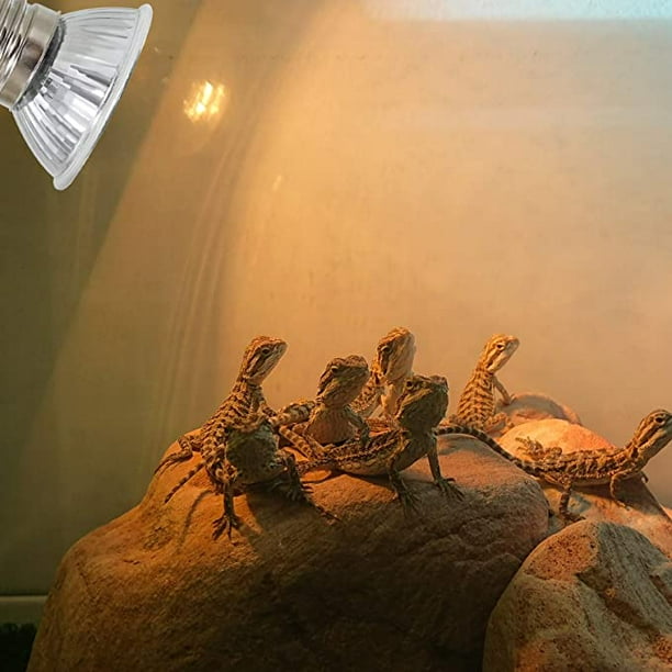 ShenMo 2 Pieces Turtle Heat Lamp 25W Full Spectrum UVA UVB LED Heat Bulb E27 Heat Lamp Suitable for Reptiles Amphibians Turtles Snakes Chameleons Lizards Walmart